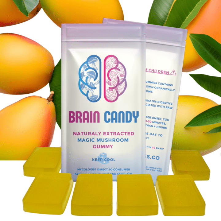 Magic Mushroom Gummies Mazatapec Mango