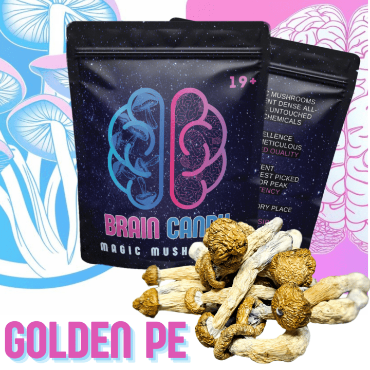 Golden PE Raw Magic Mushrooms