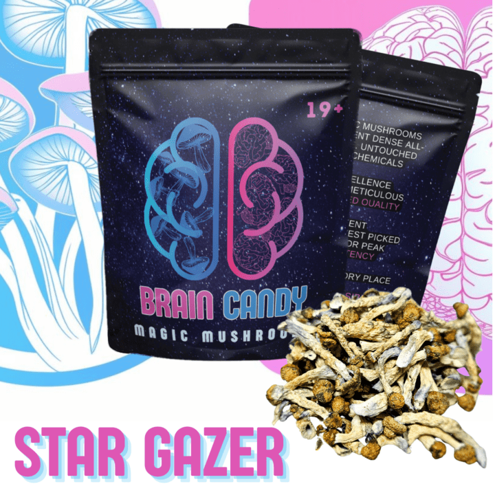 Stargazer Raw Magic Mushrooms