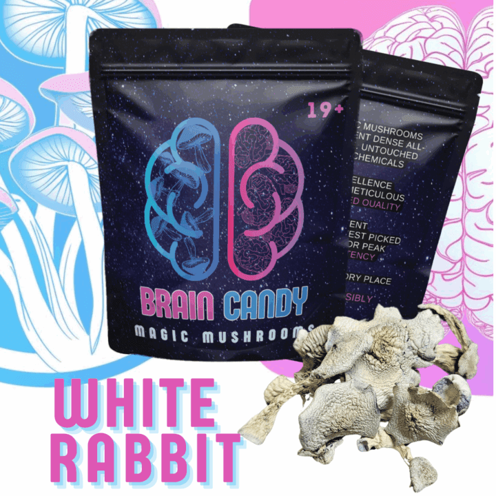 White Rabbit Raw Magic Mushrooms